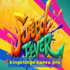 bingotingo canva pro